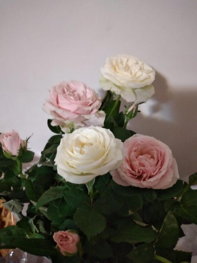 나폴리 Casa Anto' 아파트 외부 사진